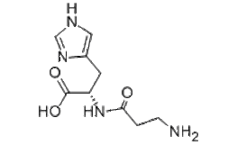 L-Carnosine Structure