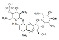 Framycetin Sulphate  4146-30-9